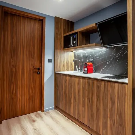 Apartman Violin Glam By Binobi! *